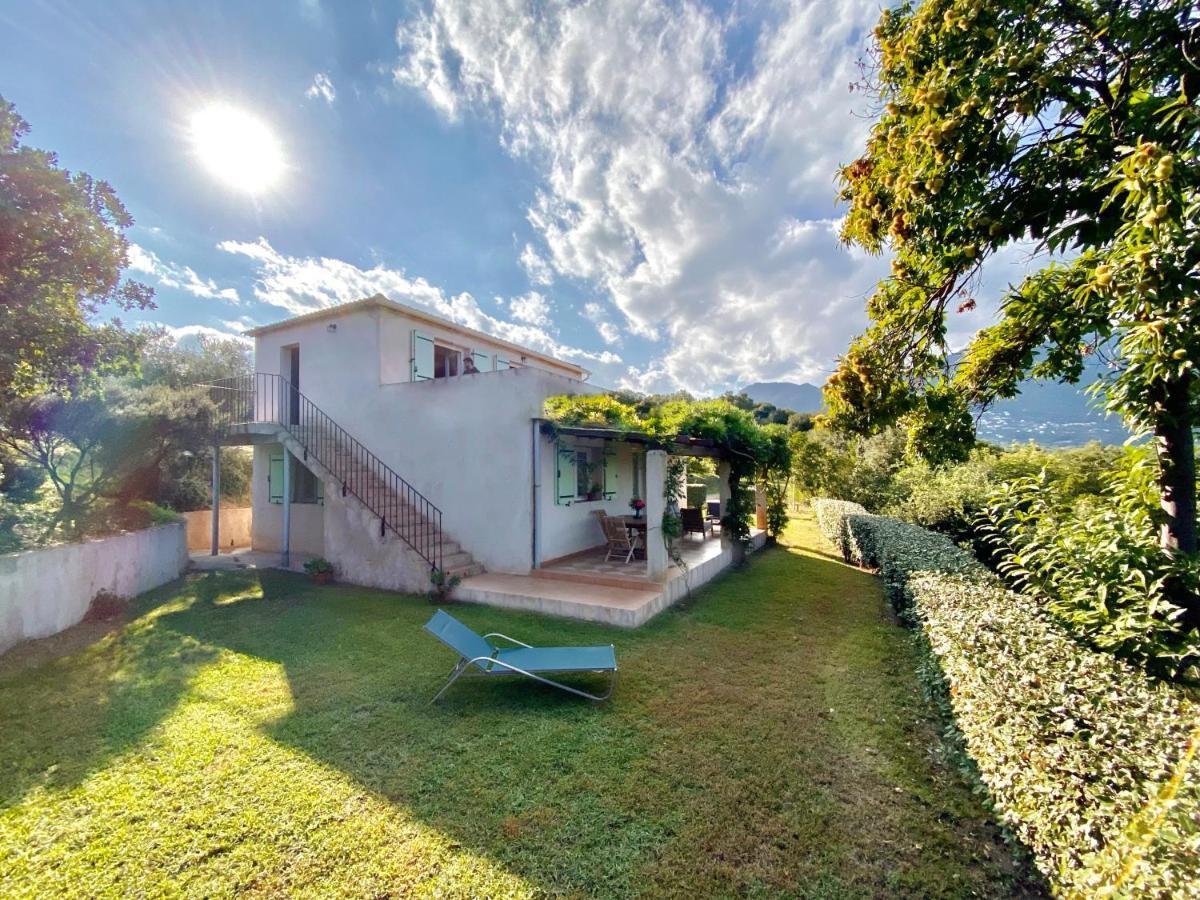 Domaine Punta Della Guardia Villa Vue Mer Dans Nature Protegee, Plage A 1,5 Km Червионе Экстерьер фото